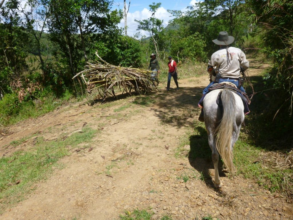 Cabalgatas 